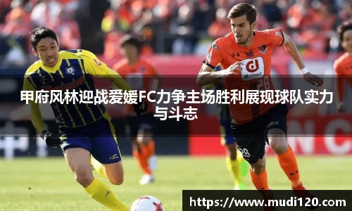 甲府风林迎战爱媛FC力争主场胜利展现球队实力与斗志